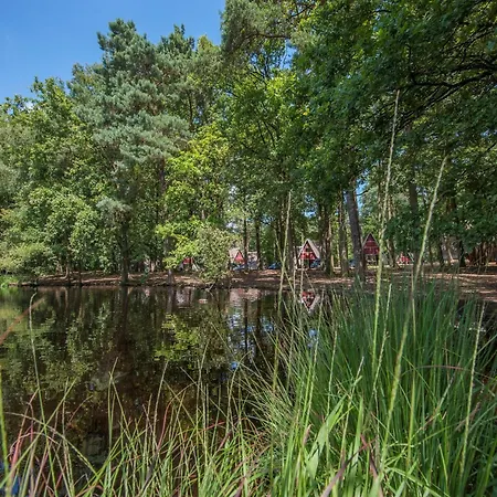 Restyled With Dishwasher, In Natural Surroundings Mierlo